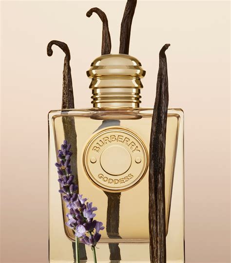 burberry goddess parfumo|where to buy burberry goddess.